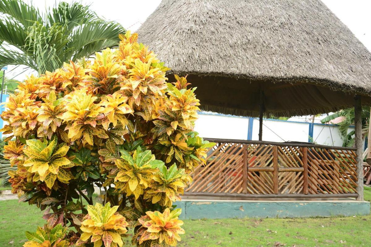 Kimere Resort Bagamoyo Εξωτερικό φωτογραφία